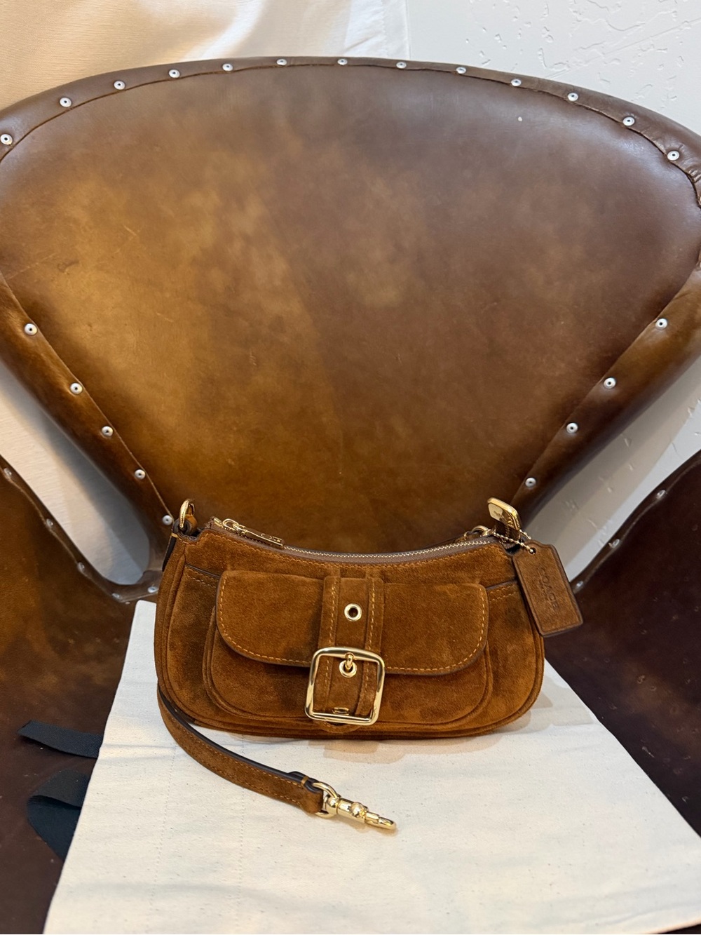 Coach Mini Ashton Suede Crossbody CFA50 NWT - Picture 7 of 11